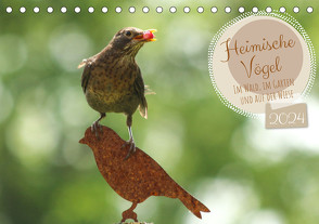 Heimische Vögel – Im Wald, im Garten und auf der Wiese (Tischkalender 2024 DIN A5 quer), CALVENDO Monatskalender von Merk,  Angela