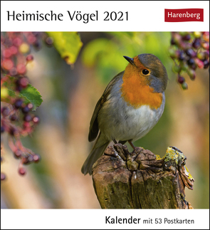 Heimische Vögel Kalender 2021 von Harenberg