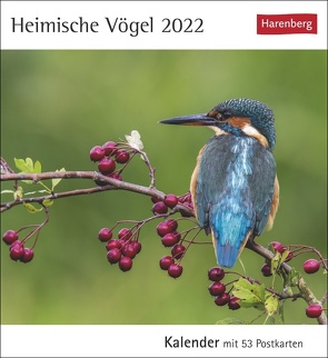 Heimische Vögel Kalender 2022 von Harenberg