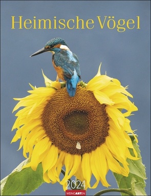 Heimische Vögel Kalender 2024