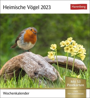 Heimische Vögel Postkartenkalender 2023. Wochenkalender im Postkartenformat mit Vogelporträts. Kleiner Kalender mit wöchentlich neuen Postkarten zum Sammeln und Verschicken. von Harenberg