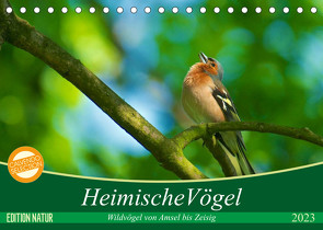 Heimische Vögel (Tischkalender 2023 DIN A5 quer) von Mooß,  Ralf