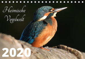 Heimische Vogelwelt – 2020 (Tischkalender 2020 DIN A5 quer) von Miadok,  Peter