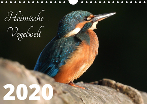 Heimische Vogelwelt – 2020 (Wandkalender 2020 DIN A4 quer) von Miadok,  Peter