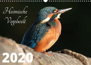 Heimische Vogelwelt – 2021 (Wandkalender 2021 DIN A3 quer) von Miadok,  Peter