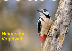 Heimische Vogelwelt (Wandkalender 2023 DIN A2 quer) von Käfer,  Gerhard