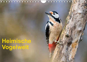 Heimische Vogelwelt (Wandkalender 2023 DIN A4 quer) von Käfer,  Gerhard