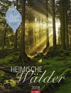 Heimische Wälder – Kalender 2019 von Weingarten