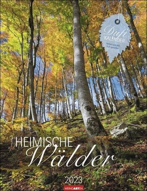 Heimische Wälder Kalender 2023. Duft-Kalender mit 12 atmosphärischen Momentaufnahmen und bezaubernden Wald-Düften. Wandkalender 2023 mit verträumten Wald-Fotografien. 30×39 cm. von Weingarten