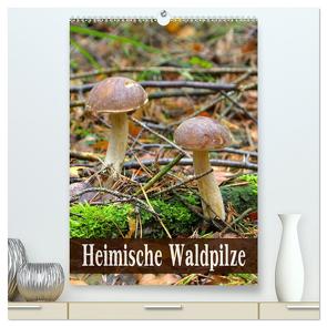 Heimische Waldpilze (hochwertiger Premium Wandkalender 2024 DIN A2 hoch), Kunstdruck in Hochglanz von LianeM,  LianeM