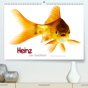 Heinz – Der Goldfisch (Premium, hochwertiger DIN A2 Wandkalender 2021, Kunstdruck in Hochglanz) von Wehrle & Uwe Frank www.blackwhite.de,  Ralf