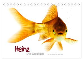 Heinz – Der Goldfisch (Tischkalender 2024 DIN A5 quer), CALVENDO Monatskalender von Wehrle & Uwe Frank www.blackwhite.de,  Ralf