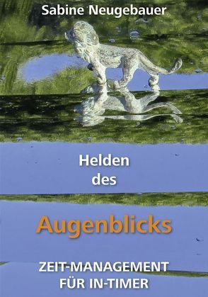 Helden des Augenblicks von Neugebauer,  Sabine