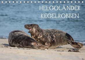 Helgoländer Kegelrobben (Tischkalender 2018 DIN A5 quer) von Quentin,  Udo