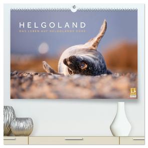 Helgoland – Das Leben auf der Düne Helgolands (hochwertiger Premium Wandkalender 2024 DIN A2 quer), Kunstdruck in Hochglanz von Jackson,  Lain