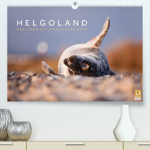 Helgoland – Das Leben auf der Düne Helgolands (Premium, hochwertiger DIN A2 Wandkalender 2022, Kunstdruck in Hochglanz) von Jackson,  Lain