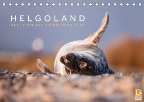 Helgoland – Das Leben auf der Düne Helgolands (Tischkalender 2023 DIN A5 quer) von Jackson,  Lain