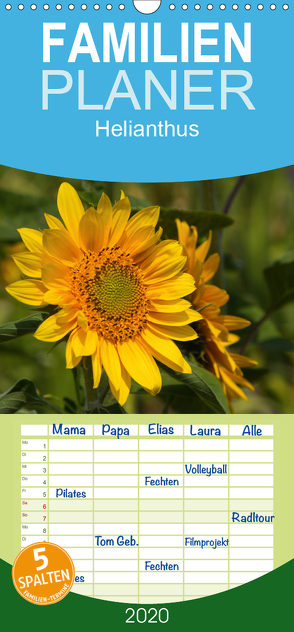 Helianthus – Familienplaner hoch (Wandkalender 2020 , 21 cm x 45 cm, hoch) von Di Chito,  Ursula