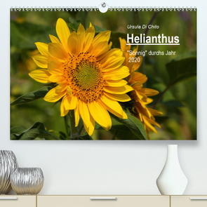 Helianthus (Premium, hochwertiger DIN A2 Wandkalender 2020, Kunstdruck in Hochglanz) von Di Chito,  Ursula