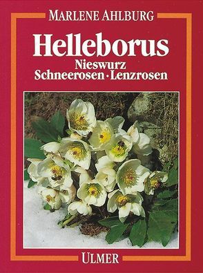 Helleborus von Ahlburg,  Marlene S.