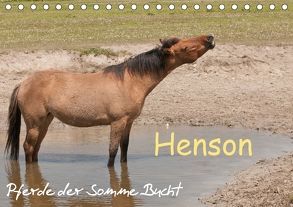 Henson – Pferde der Somme Bucht (Tischkalender 2018 DIN A5 quer) von Bölts,  Meike