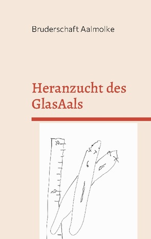 Heranzucht des GlasAals von Aalmolke,  Bruderschaft