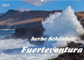 Herbe Schönheit Fuerteventura (Wandkalender 2023 DIN A2 quer) von Taubert,  Evelyn