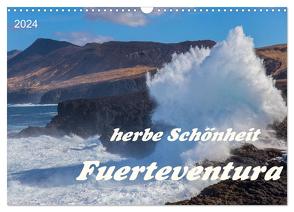 Herbe Schönheit Fuerteventura (Wandkalender 2024 DIN A3 quer), CALVENDO Monatskalender von Taubert,  Evelyn