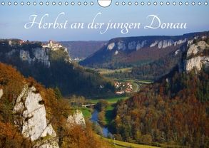 Herbst an der jungen Donau (Wandkalender 2018 DIN A4 quer) von Brendel,  Heinrich