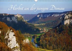 Herbst an der jungen Donau (Wandkalender 2019 DIN A3 quer) von Brendel,  Heinrich