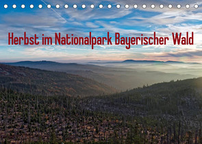 Herbst im Nationalpark Bayerischer Wald (Tischkalender 2023 DIN A5 quer) von Enders,  Borg