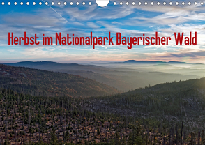 Herbst im Nationalpark Bayerischer Wald (Wandkalender 2021 DIN A4 quer) von Enders,  Borg