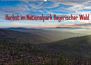 Herbst im Nationalpark Bayerischer Wald (Wandkalender 2022 DIN A2 quer) von Enders,  Borg