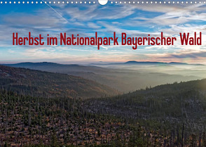 Herbst im Nationalpark Bayerischer Wald (Wandkalender 2022 DIN A3 quer) von Enders,  Borg