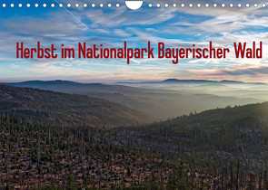 Herbst im Nationalpark Bayerischer Wald (Wandkalender 2022 DIN A4 quer) von Enders,  Borg