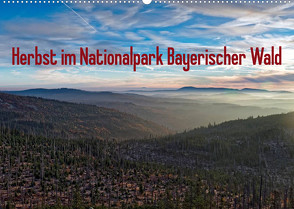 Herbst im Nationalpark Bayerischer Wald (Wandkalender 2023 DIN A2 quer) von Enders,  Borg