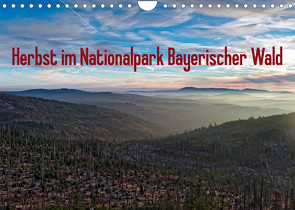 Herbst im Nationalpark Bayerischer Wald (Wandkalender 2023 DIN A4 quer) von Enders,  Borg