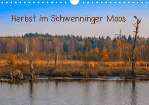 Herbst im Schwenninger Moos (Wandkalender 2020 DIN A4 quer) von Christine Horn,  BlattArt