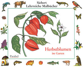 Herbstblumen von Eigner,  Erwin