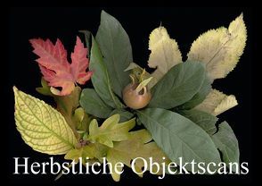 Herbstliche Objektscans (Posterbuch DIN A2 quer) von Hufeld,  Bernd