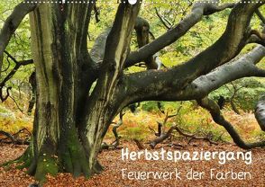 Herbstspaziergang – Feuerwerk der Farben (Posterbuch DIN A2 quer) von Wittbrock,  Uwe