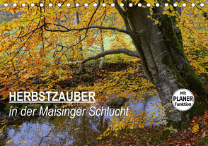 Herbstzauber in der Maisinger Schlucht (Tischkalender 2021 DIN A5 quer) von Frost,  Anja