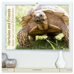 Herkules and Friends (hochwertiger Premium Wandkalender 2024 DIN A2 quer), Kunstdruck in Hochglanz von Sixt,  Marion