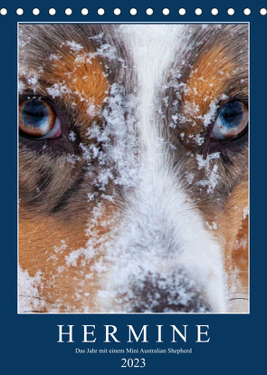 Hermine – Ein Jahr mit einem Mini Australian Shepherd (Tischkalender 2023 DIN A5 hoch) von Wernze,  Kai