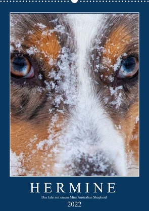 Hermine – Ein Jahr mit einem Mini Australian Shepherd (Wandkalender 2022 DIN A2 hoch) von Wernze,  Kai