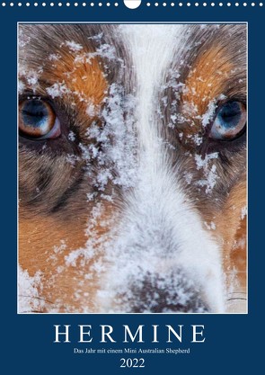 Hermine – Ein Jahr mit einem Mini Australian Shepherd (Wandkalender 2022 DIN A3 hoch) von Wernze,  Kai