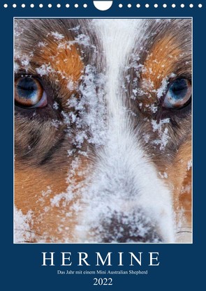 Hermine – Ein Jahr mit einem Mini Australian Shepherd (Wandkalender 2022 DIN A4 hoch) von Wernze,  Kai