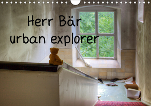 Herr Bär urban explorer (Wandkalender 2021 DIN A4 quer) von Buchmann,  Oliver