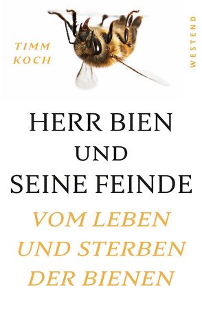 Herr Bien und seine Feinde von Koch,  Timm