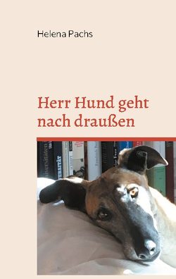 Herr Hund geht nach draußen von Pachs,  Helena